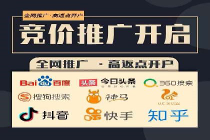 SEM竞价案例：提升搜索引擎排名